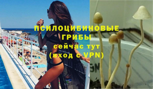 ешки Абинск